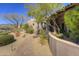 Expansive front yard featuring desert landscaping with a walkway leading up to an earth tone colored home at 7373 E Clubhouse Dr # 24, Scottsdale, AZ 85266