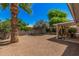 Large backyard showcasing desert landscaping with a palm tree, and a charming covered patio for entertaining at 8238 E San Miguel Ave, Scottsdale, AZ 85250