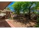 Expansive backyard featuring lush greenery, mature trees, and a covered patio seating area, ideal for outdoor living at 8238 E San Miguel Ave, Scottsdale, AZ 85250