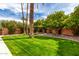 Lush backyard featuring green grass, mature trees, and privacy landscaping, creating a serene outdoor space at 8438 E Stella Ln, Scottsdale, AZ 85250