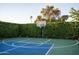 Well-maintained basketball court surrounded by lush greenery, perfect for sports and recreation at 8602 E Gary Rd, Scottsdale, AZ 85260