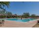 Relaxing community pool showcasing plenty of lounge seating, mature landscaping, and covered seating areas at 1712 W Aloe Vera Dr, Phoenix, AZ 85085