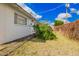 Backyard featuring lush greenery, a well-maintained lawn, and the side of the white exterior home at 1840 E Jarvis Ave, Mesa, AZ 85204