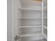 Bright pantry with multiple shelves for ample storage space at 2887 W Chevelon Dr, Queen Creek, AZ 85144