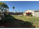 Backyard with grass, shrubbery, trees and a black gazebo against a blue sky at 332 N 25Th St, Mesa, AZ 85213