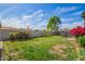 Fenced backyard with green grass, a large tree, and bushes at 332 N 25Th St, Mesa, AZ 85213