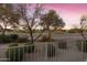 Backyard view with landscaping overlooking the golf course at 4320 E Ficus Way, Gilbert, AZ 85298