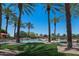 Resort-style pool area surrounded by palm trees and well-manicured landscaping at 4320 E Ficus Way, Gilbert, AZ 85298