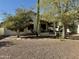 Desert backyard featuring mature trees, lush desert vegetation, and a covered patio at 4643 E Cherry Hills Dr, Chandler, AZ 85249