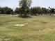 Open green space and walking paths in the community with lush grass and trees at 4643 E Cherry Hills Dr, Chandler, AZ 85249