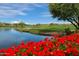 Picturesque golf course view featuring a lake, manicured green, sand traps, and vibrant red flowers in the foreground at 7741 E Journey Ln, Scottsdale, AZ 85255