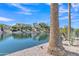 Scenic lake view with palm trees enhancing the waterfront living experience at 877 E La Costa Pl, Chandler, AZ 85249