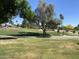 Scenic view of the golf course with mature trees and lush green grass at 9734 W Kerry Ln, Peoria, AZ 85382