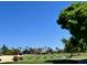 Scenic view of the lush green golf course with towering palm trees and manicured fairways at 9734 W Kerry Ln, Peoria, AZ 85382