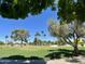 Scenic golf course view with lush green grass, mature trees, and palm trees under a clear blue sky at 9734 W Kerry Ln, Peoria, AZ 85382