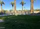 Serene backyard view with lush lawn, palm trees, and a pool, perfect for outdoor enjoyment at 10249 N 58Th Pl, Paradise Valley, AZ 85253