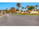 Gated community entrance featuring lush landscaping, mature trees, and the Oakwood Hills signage at 12 E Oakwood Hills Dr, Chandler, AZ 85248