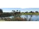 Scenic view of a tranquil pond on the golf course, featuring palm trees and well-manicured green landscapes at 187 E Santa Lucia Ln, Queen Creek, AZ 85140