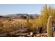 Desert landscape with native plants and a backdrop of mountains creating a peaceful and serene outdoor environment at 36190 N Creek View Ln, Cave Creek, AZ 85331