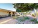A serene backyard featuring a covered patio, mature trees, and lush greenery, perfect for relaxation and entertaining guests at 4014 W Anderson Dr, Glendale, AZ 85308
