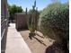 Low maintenance desert landscaping featuring native plants and gravel ground cover at 6529 E Voltaire Ave, Scottsdale, AZ 85254