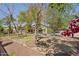 Expansive backyard showcasing mature trees, landscaping, and a covered patio area at 6659 W Oraibi Dr, Glendale, AZ 85308