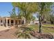Lush backyard featuring a covered patio, mature trees, and grassy areas at 6659 W Oraibi Dr, Glendale, AZ 85308