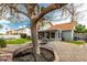 Well-maintained backyard with mature trees and landscaping, providing privacy and a serene outdoor space at 2218 E Mallard Ct, Gilbert, AZ 85234