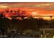 Stunning sunset casts a warm glow over the landscape, with silhouetted trees and a colorful sky at 25767 N 67Th Dr, Peoria, AZ 85383