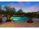 Night view of the pool with spa, palm trees, and lush landscaping provides a private outdoor oasis at 30311 N 52Nd Pl, Cave Creek, AZ 85331