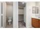 A tidy bathroom features a toilet, vanity, and a convenient walk-in closet for extra storage at 3847 W Yellow Peak Dr, San Tan Valley, AZ 85144