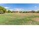 Expansive grassy area perfect for recreation and outdoor activities at 3847 W Yellow Peak Dr, San Tan Valley, AZ 85144