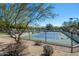 Community tennis court surrounded by lush landscaping and fencing, with a clear blue sky at 3935 E Rough Rider Rd # 1264, Phoenix, AZ 85050