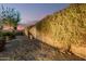 Backyard area with desert landscaping, a concrete block wall covered in vines, and rock groundcover at 560 W Powell Way, Chandler, AZ 85248