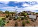 Backyard features a pool, mature palm trees, patio, and meticulously designed desert landscaping at 560 W Powell Way, Chandler, AZ 85248