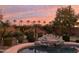 Lush backyard with a pool, mature palm trees, desert landscaping, and an amazing sunset at 560 W Powell Way, Chandler, AZ 85248