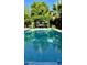 A beautifully maintained backyard pool provides a cool escape at 8738 E Rose Ln, Scottsdale, AZ 85250