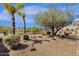 Spacious backyard with desert landscaping, mature trees, and great outdoor seating areas with mountain views at 16113 E Andrew Dr, Fountain Hills, AZ 85268