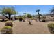 Desert backyard featuring arid landscaping and relaxing seating area at 16113 E Andrew Dr, Fountain Hills, AZ 85268