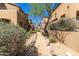 Exterior walkway between condo buildings, with desert landscaping and a gravel path leading to the units at 16600 N Thompson Peak Pkwy # 1072, Scottsdale, AZ 85260