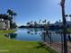 Scenic water view of lake and palm tree landscaping against a clear blue sky at 1825 W Ray Rd # 1058, Chandler, AZ 85224