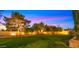 Backyard featuring lush lawn, mature trees illuminated by landscape lighting, creating a serene nighttime ambiance at 2174 E Avenida Del Valle Ct, Gilbert, AZ 85298