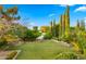 Lush backyard with manicured lawn, mature trees, and flowering shrubs, offering a serene and private outdoor space at 2174 E Avenida Del Valle Ct, Gilbert, AZ 85298