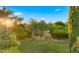 Lush backyard featuring a beautiful tree in a raised planter bed, enhancing the property's natural appeal at 2174 E Avenida Del Valle Ct, Gilbert, AZ 85298