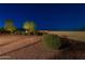 Night shot of backyard featuring desert landscaping with privacy perimeter wall and shrubs at 21913 N Pedregosa Ct, Sun City West, AZ 85375
