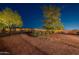 Night shot of backyard featuring desert landscaping with privacy perimeter wall and shrubs at 21913 N Pedregosa Ct, Sun City West, AZ 85375