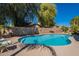 This stunning backyard features a private swimming pool and surrounding trees at 23306 S 221St St, Queen Creek, AZ 85142