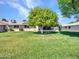 Spacious backyard featuring a lush lawn and mature citrus tree, creating a serene outdoor living space at 12519 W Castle Rock Dr, Sun City West, AZ 85375
