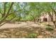Scenic community path lined with mature trees and landscaping, perfect for a leisurely stroll at 19475 N Grayhawk Dr # 2132, Scottsdale, AZ 85255