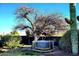 Backyard featuring a large tree and a relaxing hot tub at 2833 E Emile Zola Ave, Phoenix, AZ 85032